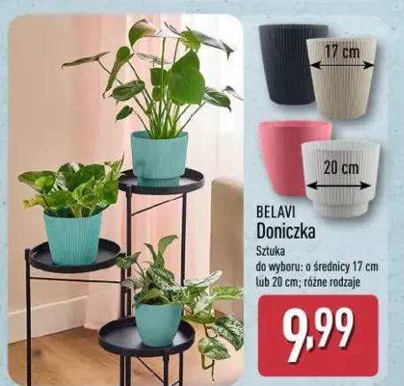 Doniczka do wyboru: o średnicy 17 cm lub 20 cm