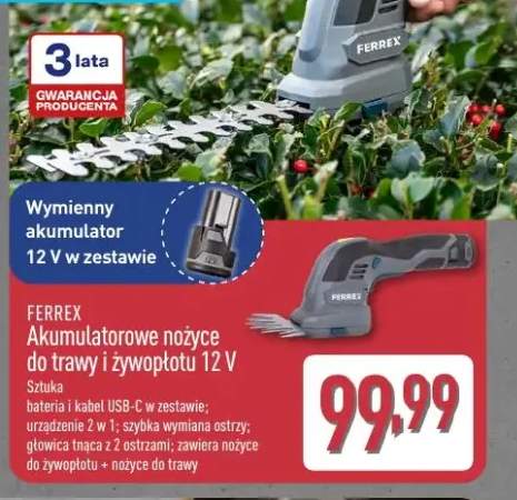 Borówka amerykańska XL odmiana Sekoya Chrupka i soczysta