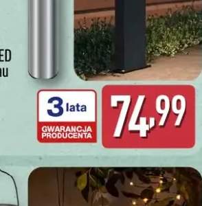 Pręga wołowa bez kości Mięsne Specjały