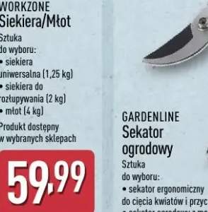 Frytki proste Speise Zeit