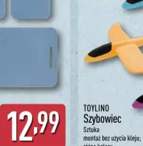 Owoce do deserów czarna jagoda All Seasons