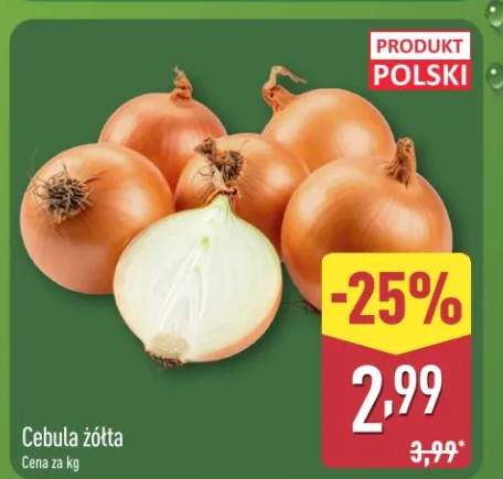 Cebula żółta polska