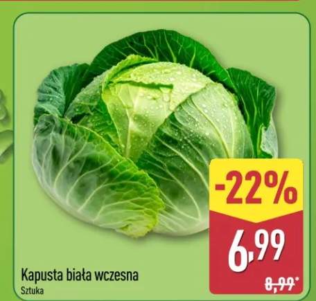 Kapusta biała wczesna