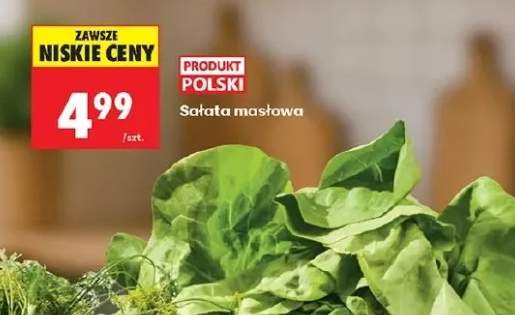 sałata masłowa