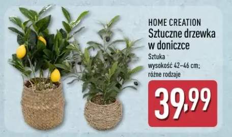 Sztuczne drzewka w doniczce Home Creation