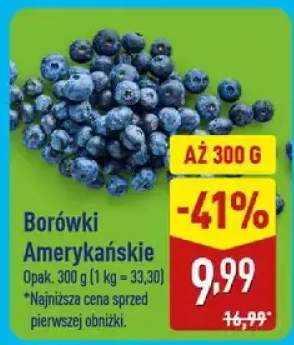 Borówki amerykańskie