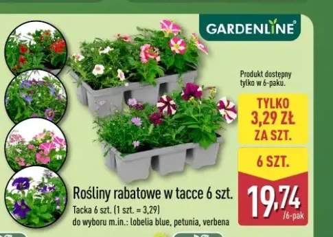 Rośliny rabatowe w tacce GARDENLINE