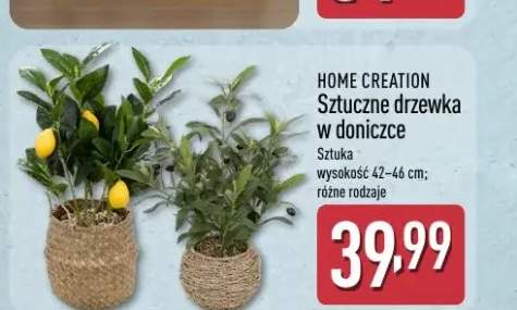 Sztuczne drzewka w doniczce HOME CREATION wysokość 42-46cm