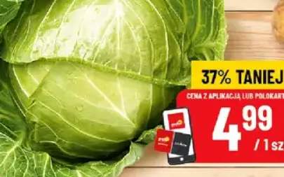 kapusta młoda