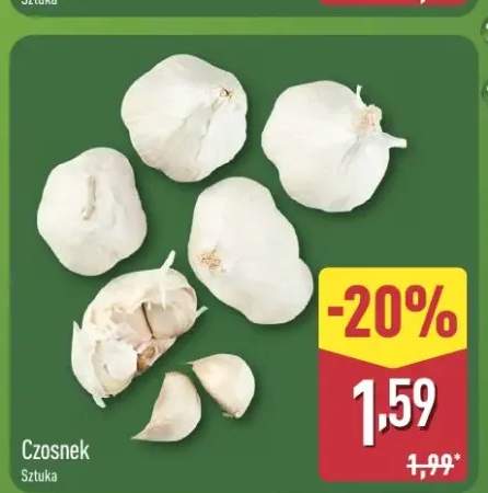 Czosnek