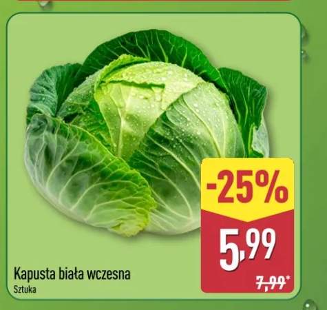 Kapusta biała wczesna
