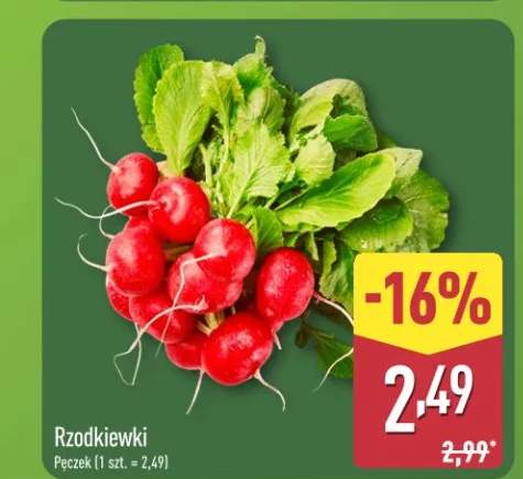Rzodkiewki