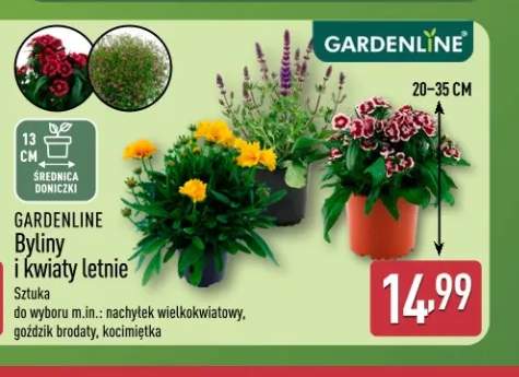 Byliny i kwiaty letnie GARDENLINE