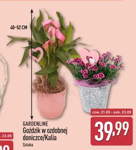 Kalia GARDENLINE