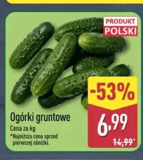Ogórki gruntowe polskie