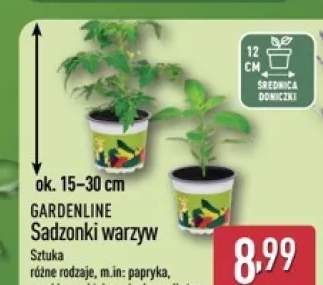 Sadzonki warzyw papryka GARDENLINE