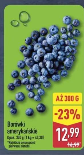 Borówki amerykańskie