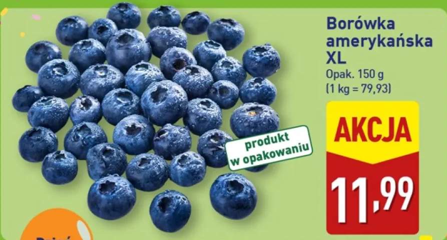 Borówka amerykańska XL