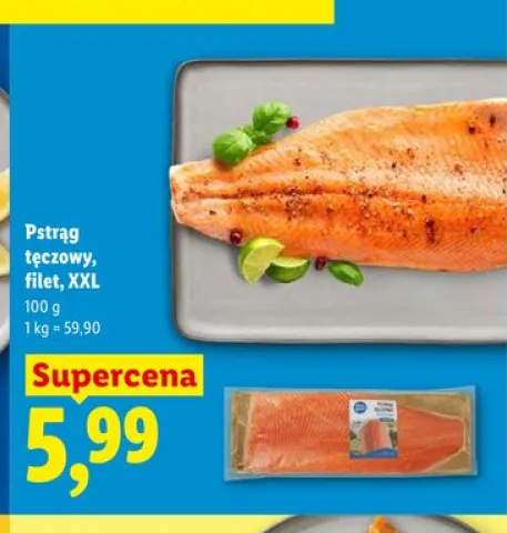 pstrąg tęczowy