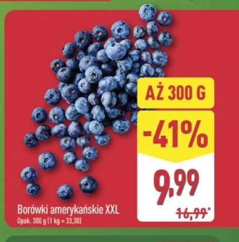 Borówki amerykańskie XXL