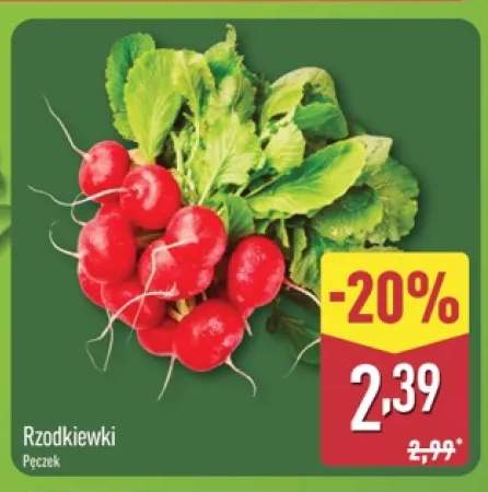 Rzodkiewki