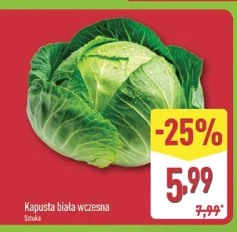 Kapusta biała wczesna