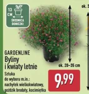 Byliny i kwiaty letnie GARDENLINE
