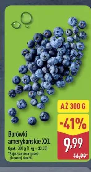 Borówki amerykańskie XXL