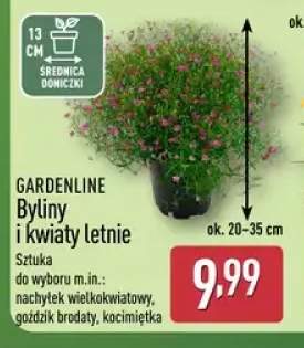 Byliny i kwiaty letnie GARDENLINE