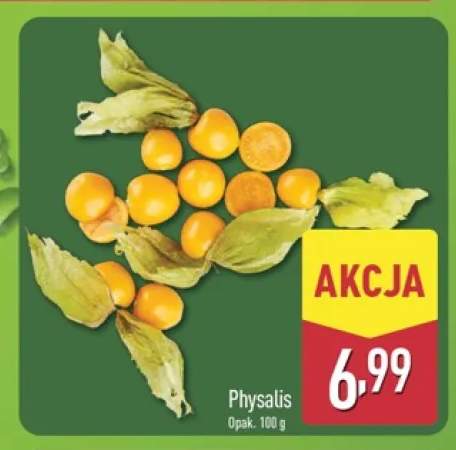 Physalis