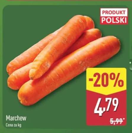 Marchew polska