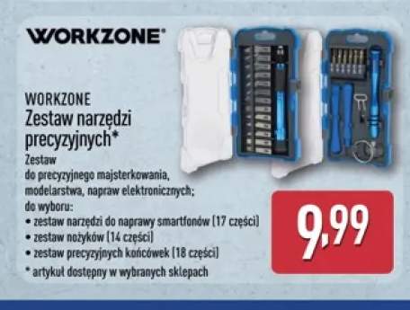 Zestaw narzędzi precyzyjnych Workzone