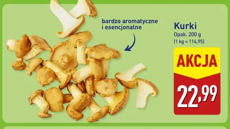 Kurki
