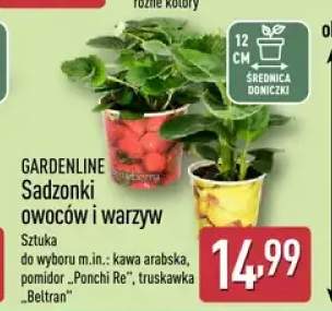 Sadzonki owoców i warzyw GARDENLINE