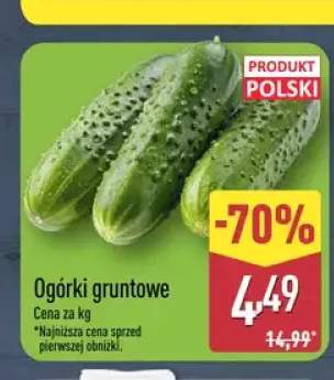 Ogórki gruntowe