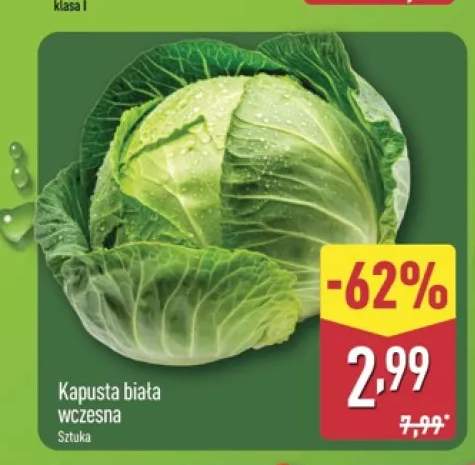Kapusta biała wczesna