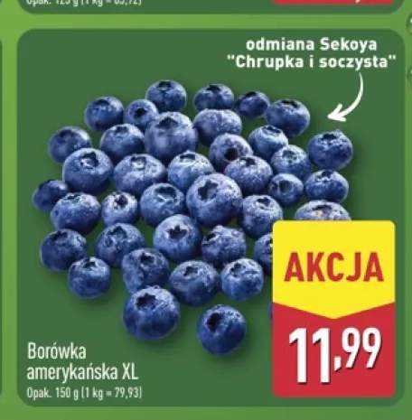 Borówka amerykańska XL
