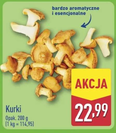 Kurki