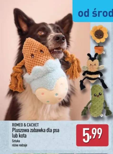 Pluszowa zabawka dla psa ROMEO & CACHET +1 wariant
