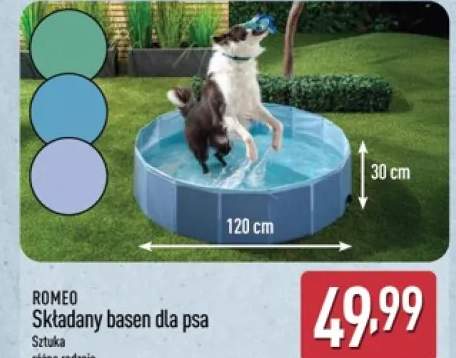 basen dla psa