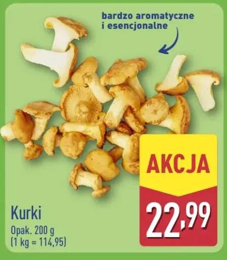 Kurki