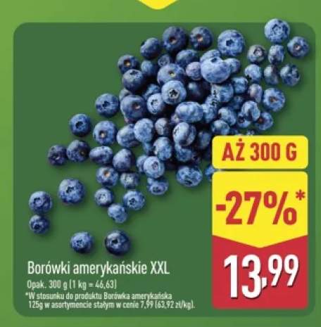 Borówki amerykańskie XXL