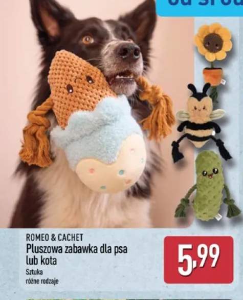 Pluszowa zabawka dla psa Romeo & Cachet +1 wariant