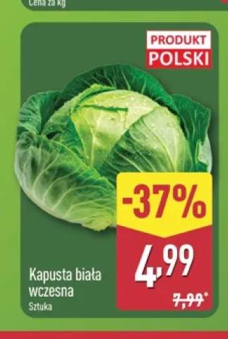 Kapusta biała wczesna polska