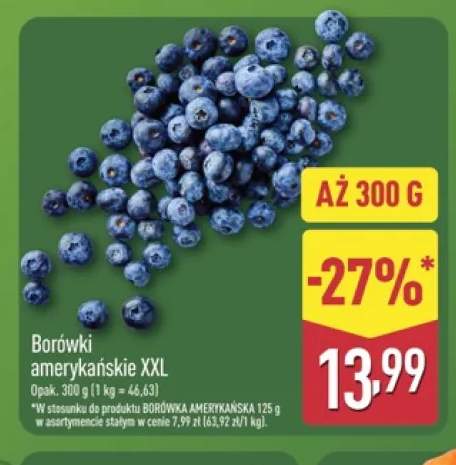 Borówki amerykańskie XXL