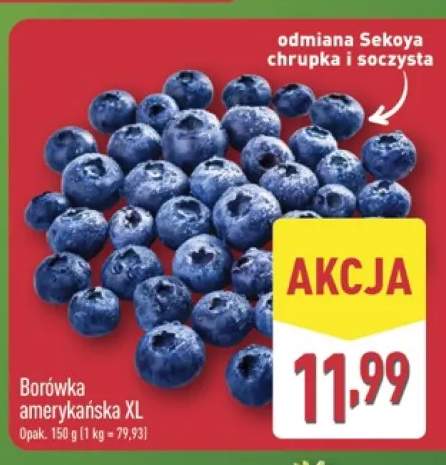 Borówka amerykańska XL