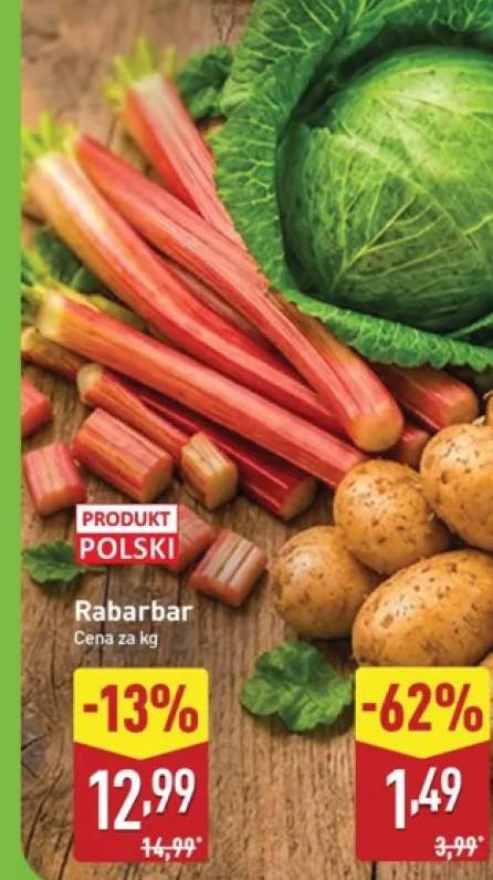 Rabarbar polski