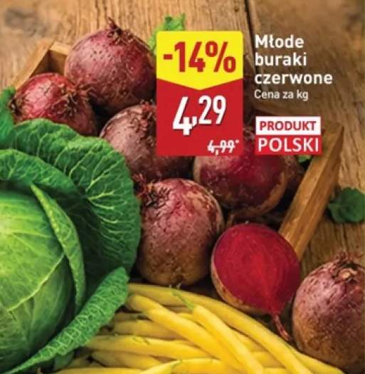 Buraki czerwone młode polskie