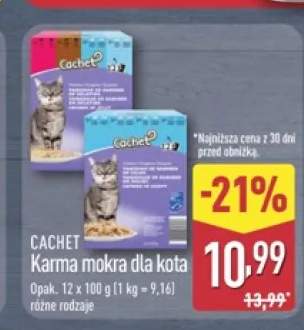 Karma mokra dla kota Cachet Premium w galaretce +1 wariant