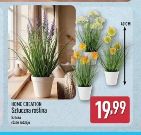 Sztuczna roślina Home Creation